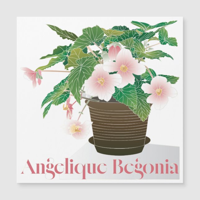 Imán Begonia Plano (Anverso)