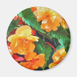 IMÁN BEGONIAS