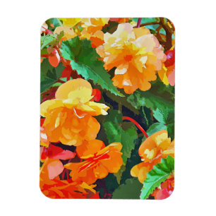 IMÁN BEGONIAS