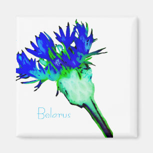 Imán Belarús Б е л а р с у ・ National Corn Flower Magne