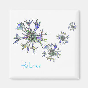 Imán Belarús Б е л а р с у ・ National Corn Flower Magne