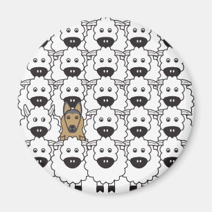 Imán Belga Tervuren en las ovejas