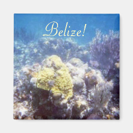 Imán ¡Belice! Coral Reef Magnet