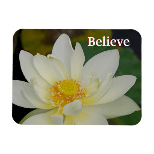 Imán Believe Lotus Magnet