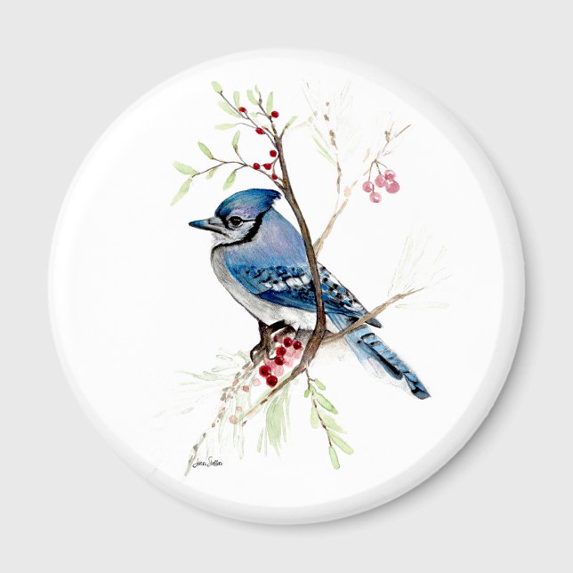 Imán Bella acuarela de arrendajo azul (Beautiful Blue Jay Watercolor Magnet by Jenn Steffen Art.)