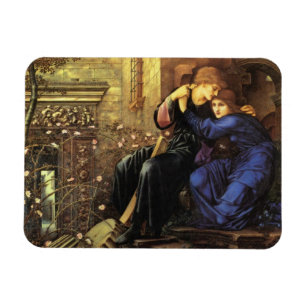 Imán Bella Artes de amor entre las ruinas