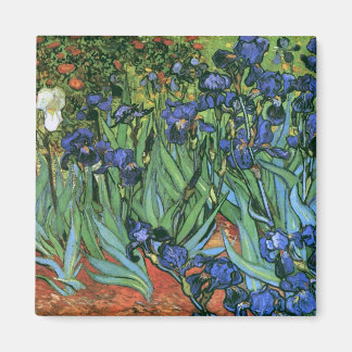 Imán Bella Artes Van Gogh de Irises (F608)