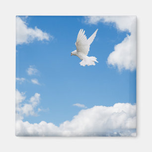 Imán Bella paloma blanca volando alto