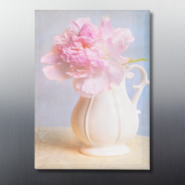 Imán Bella Peonía Rosa Rústica (Subido por el creador)