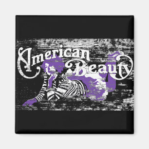 Imán belleza americana