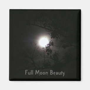 Imán Belleza de la Luna Llena