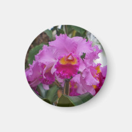 Imán Belleza de orquídea