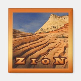 Imán Belleza de Zion