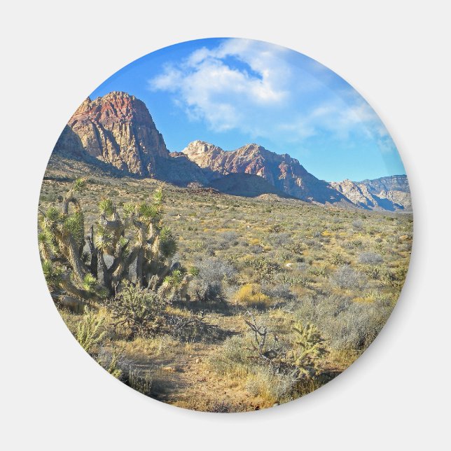 Imán Belleza del desierto (Frente)