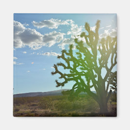 Imán Belleza del desierto