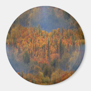 Imán Belleza en otoño.