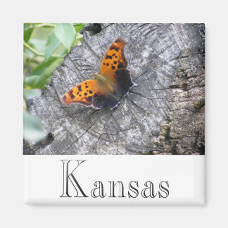 Imán Belleza maltratada