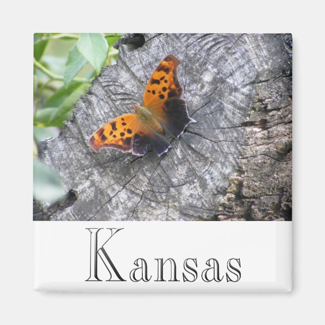 Imán Belleza maltratada (Frente)