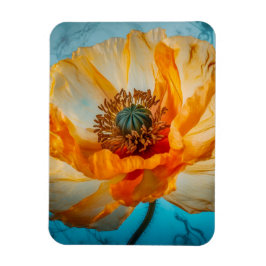 Imán Belleza naranja