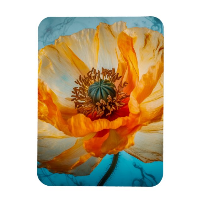 Imán Belleza naranja (Vertical)