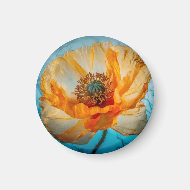 Imán Belleza naranja (Frente)