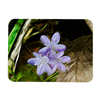 Imán Belleza primaveral, abstrato de la flor violeta