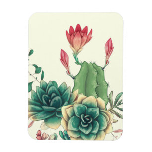 Imán Bellos Cactus Con Flor