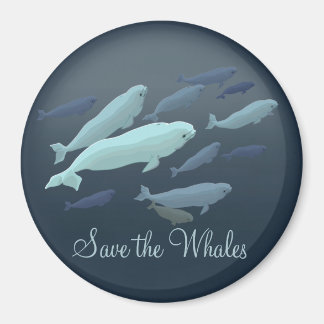 Imán Beluga Fridge Magnet Personalizado Beluga Whale Ma