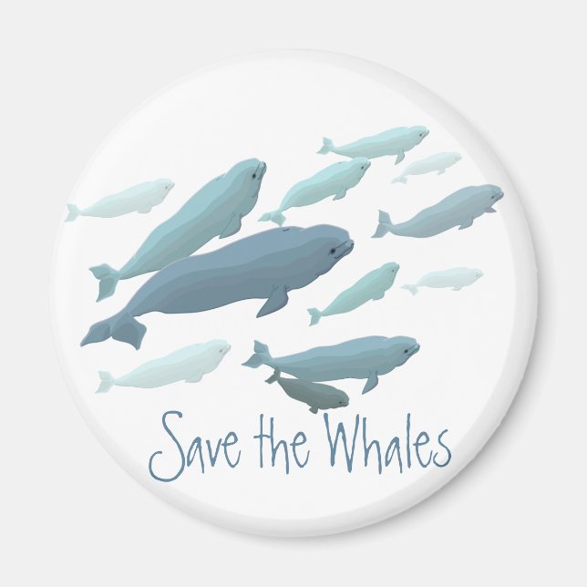Imán Beluga Fridge Magnet Personalizado Beluga Whale Ma (Frente)
