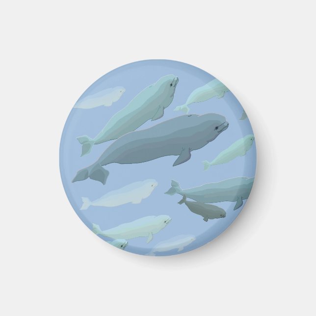Imán Beluga Whale Fridge Magnet Regalos de arte de ball (Frente)