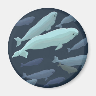 Imán Beluga Whale Fridge Magnet Regalos de arte de ball