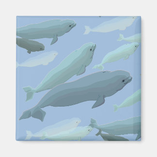 Imán Beluga Whale Fridge Magnet Regalos de arte de ball