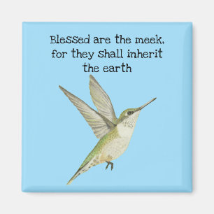 Imán Bendito es el colibrí malhumorado