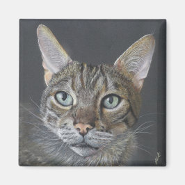 Imán Bengal Cat magnet