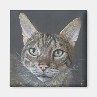 Imán Bengal Cat magnet