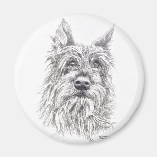 Imán Berger Picard Magnet