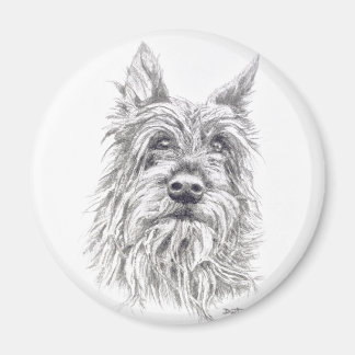 Imán Berger Picard Magnet