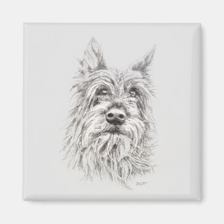 Imán Berger Picard Magnet