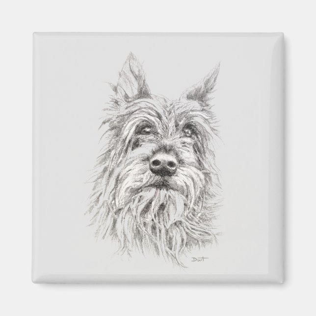 Imán Berger Picard Magnet (Frente)