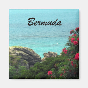 Imán Bermudas