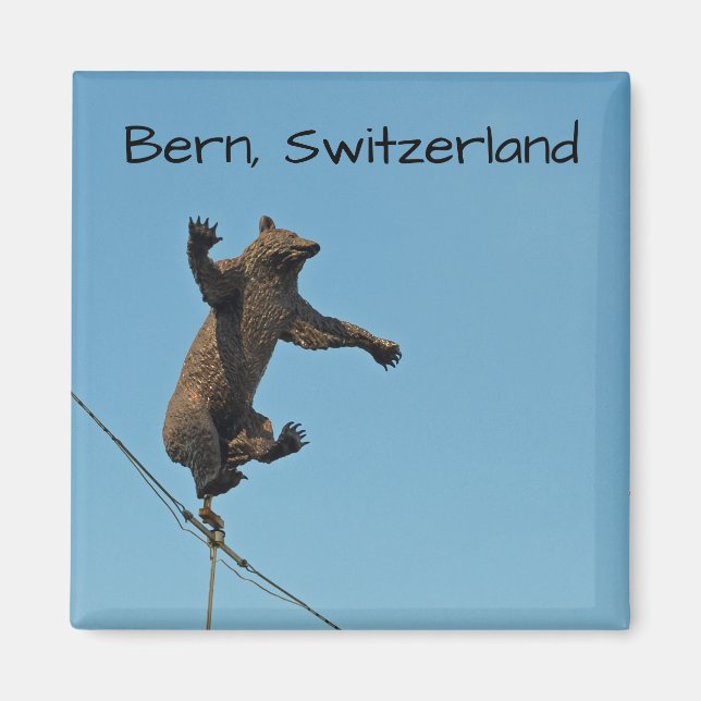 Imán Bern Bear Photo Magnet (Frente)