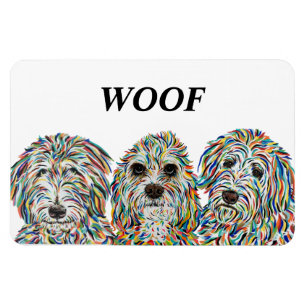 Imán Bernedoodle, España y Golden Doodle Magnet