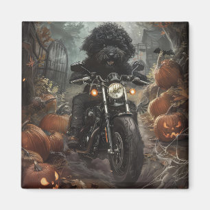 Imán Bernedoodle montando motocicleta Halloween aterrad