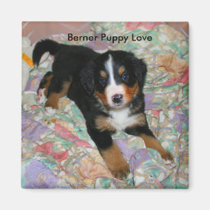 Imán Berner Puppy Love Magnet