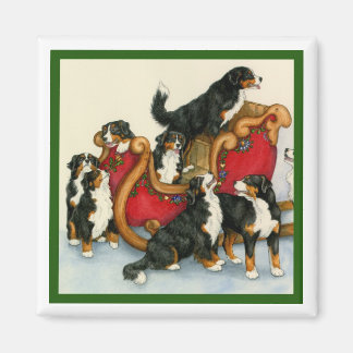 Imán Berners de Sleigh
