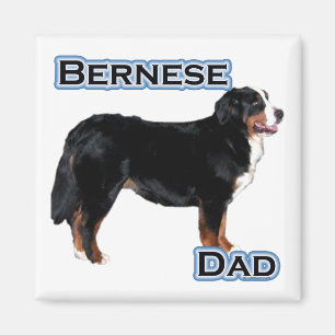 Imán Bernese Dad 4 - Magnet