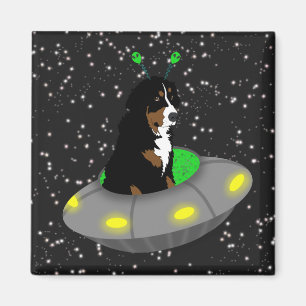 Imán Bernese Mountain Dog Alien