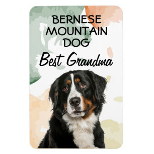 Imán Bernese Mountain Dog Best Grandma Magnet