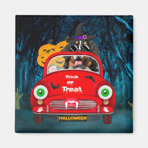 Imán Bernese Mountain Dog Driing Car Sasuy Halloween