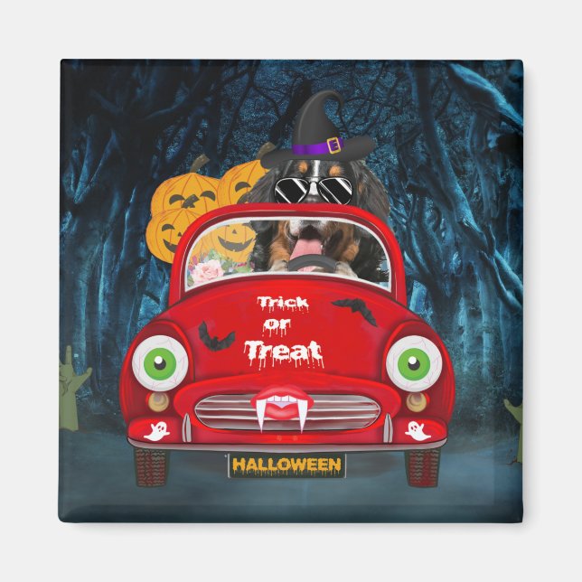 Imán Bernese Mountain Dog Driing Car Sasuy Halloween (Frente)
